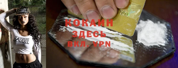 мяу мяу мука Новодвинск
