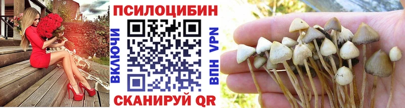где купить наркотик Колпашево mega ONION Галлюциногенные грибы GOLDEN TEACHER